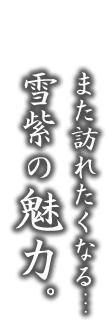 また訪れたくなる…雪紫の魅力。